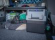 dometic cfx 28 cooler with dog