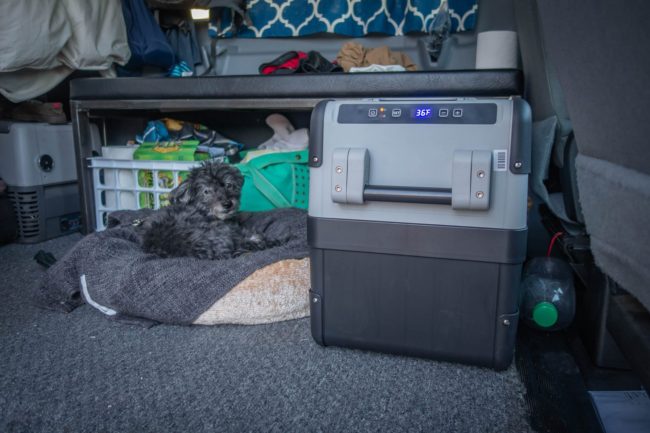 dometic cfx 28 cooler with dog