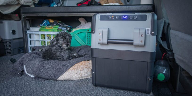 dometic cfx 28 cooler with dog