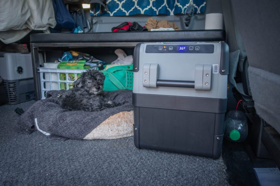 dometic cfx 28 cooler with dog